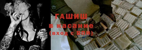 индика Алзамай