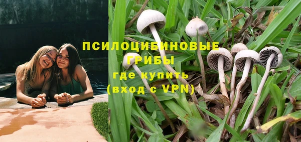 прущие грибы Алексин