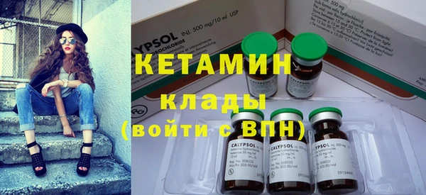 индика Алзамай