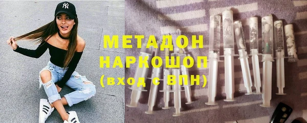 индика Алзамай