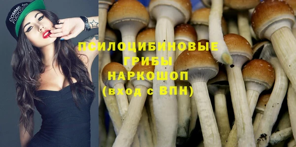 прущие грибы Алексин