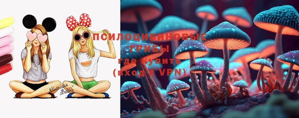 прущие грибы Алексин