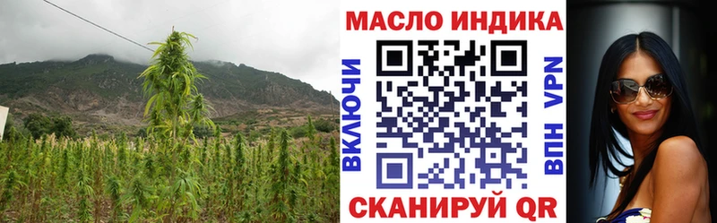 закладка Октябрьский Дистиллят ТГК концентрат