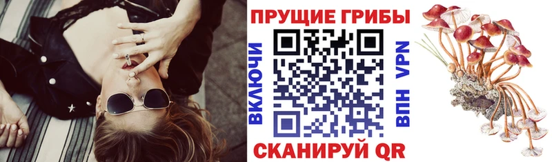 Псилоцибиновые грибы мухоморы  Октябрьский 